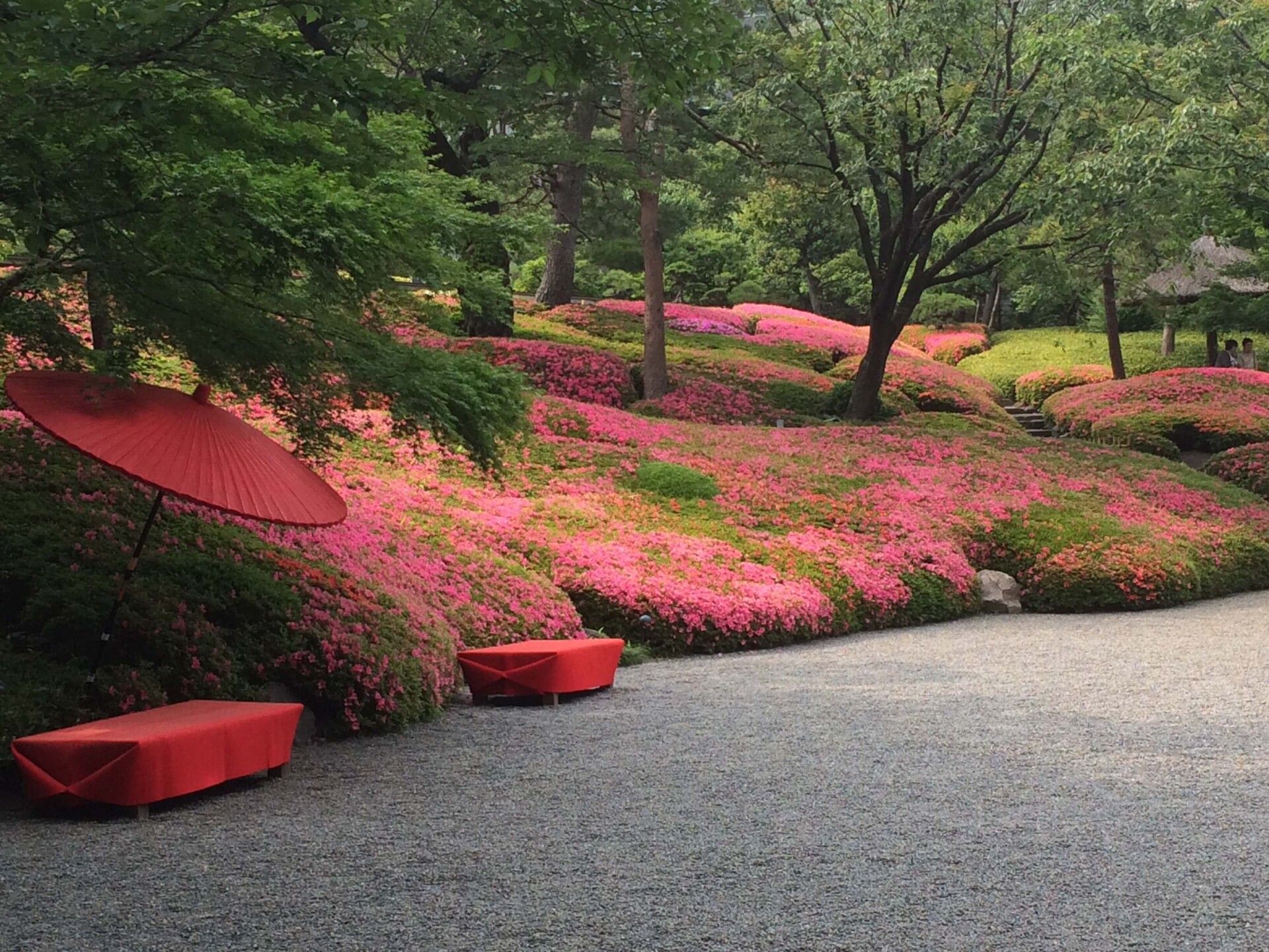 My Creative Journey ~ From Early Inspiration To An Unconventional Career Japanese Garden
