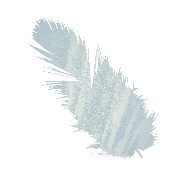 Feather