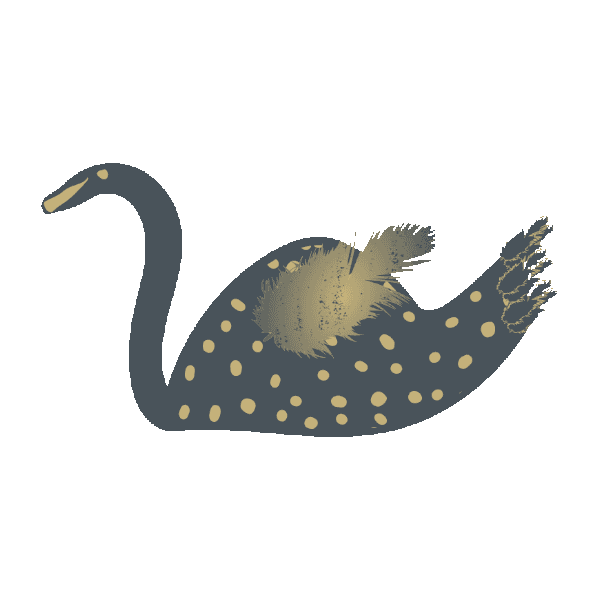 Swan